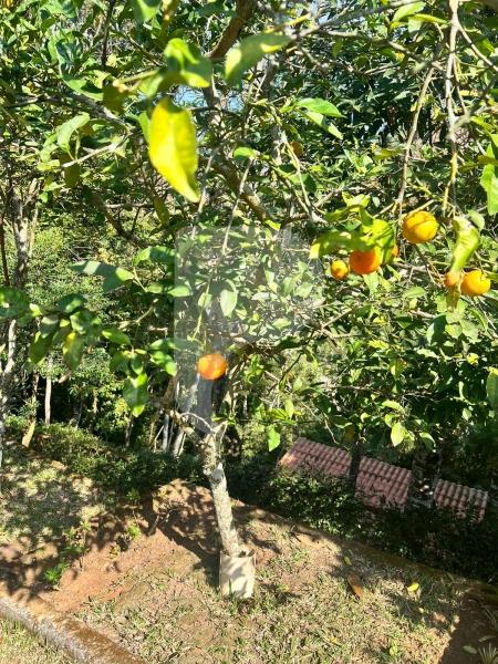 Casa à venda em Itaipava, Petrópolis - RJ - Foto 35