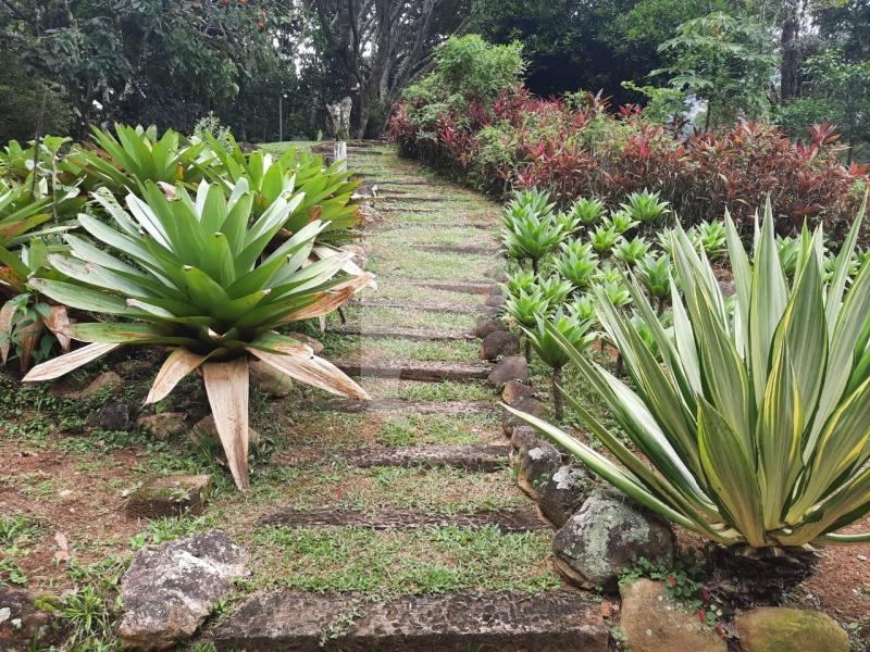 Casa à venda em Araras, Petrópolis - RJ - Foto 30