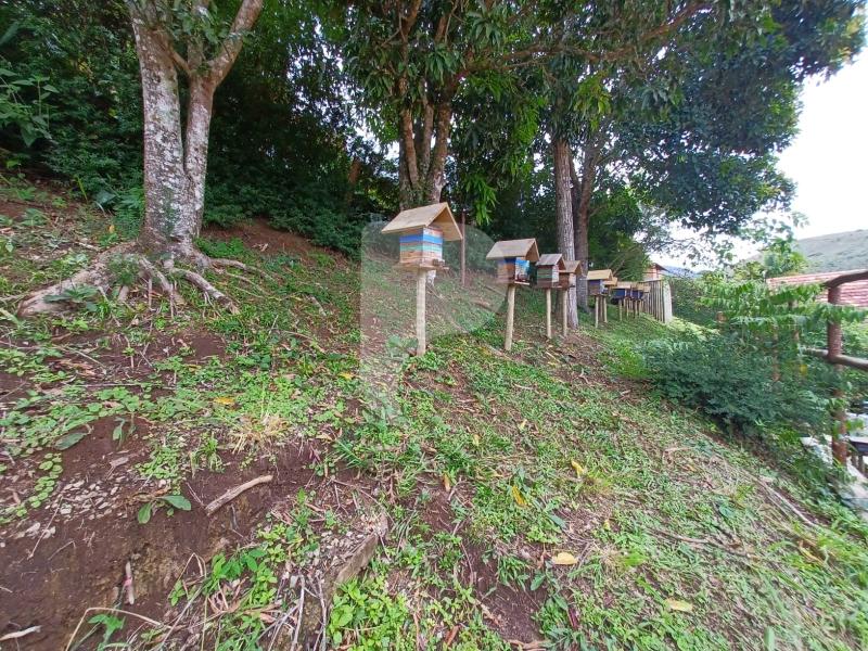 Casa à venda em Itaipava, Petrópolis - RJ - Foto 47