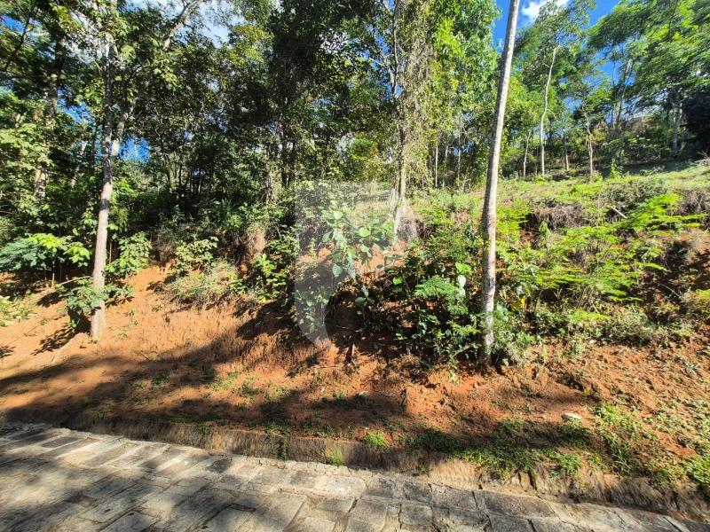 Terreno Residencial à venda em Itaipava, Petrópolis - RJ - Foto 6