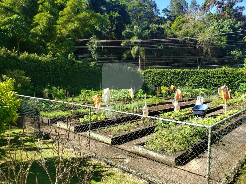 Casa à venda em Pedro do Rio, Petrópolis - RJ - Foto 44