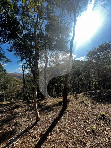 Terreno Residencial à venda em Itaipava, Petrópolis - RJ - Foto 1
