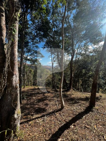 Terreno Residencial à venda em Itaipava, Petrópolis - RJ - Foto 2