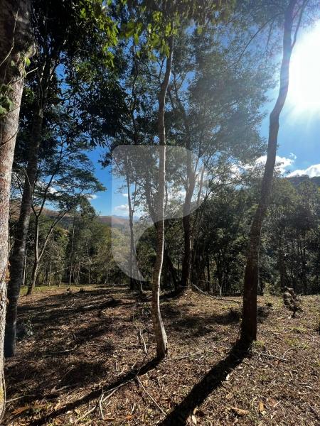 Terreno Residencial à venda em Itaipava, Petrópolis - RJ - Foto 3