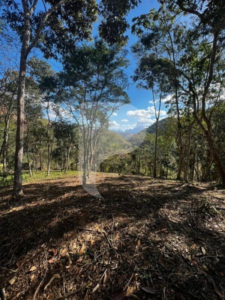 Terreno Residencial à venda em Itaipava, Petrópolis - RJ - Foto 4