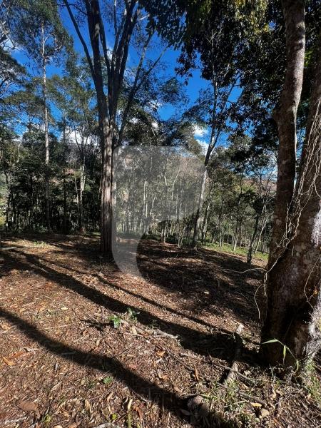 Terreno Residencial à venda em Itaipava, Petrópolis - RJ - Foto 5