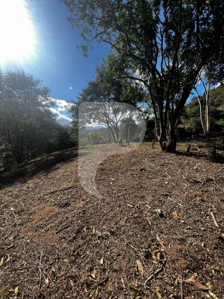 Terreno Residencial à venda em Itaipava, Petrópolis - RJ - Foto 6