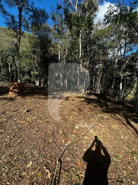 Terreno Residencial à venda em Itaipava, Petrópolis - RJ - Foto 7