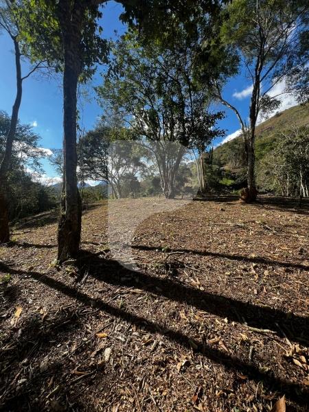 Terreno Residencial à venda em Itaipava, Petrópolis - RJ - Foto 8