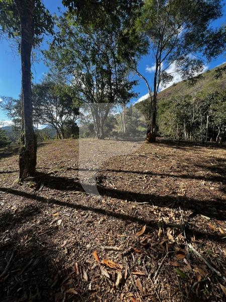 Terreno Residencial à venda em Itaipava, Petrópolis - RJ - Foto 9
