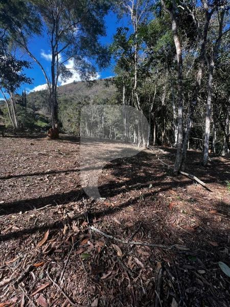 Terreno Residencial à venda em Itaipava, Petrópolis - RJ - Foto 10