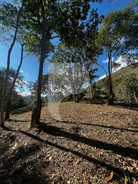 Terreno Residencial à venda em Itaipava, Petrópolis - RJ - Foto 11