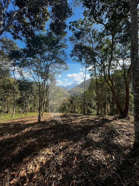 Terreno Residencial à venda em Itaipava, Petrópolis - RJ - Foto 12