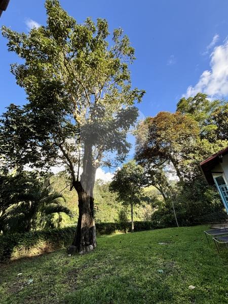 Casa à venda em Itaipava, Petrópolis - RJ - Foto 37