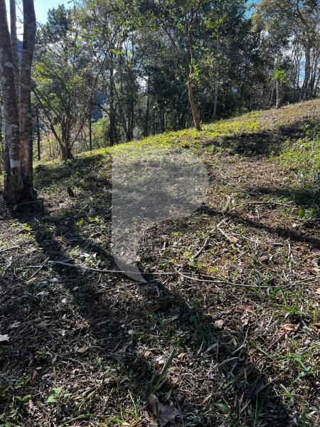 Terreno Residencial à venda em Itaipava, Petrópolis - RJ - Foto 2