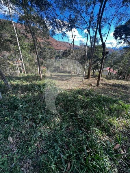 Terreno Residencial à venda em Itaipava, Petrópolis - RJ - Foto 3
