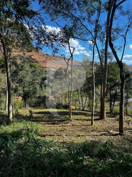 Terreno Residencial à venda em Itaipava, Petrópolis - RJ - Foto 4