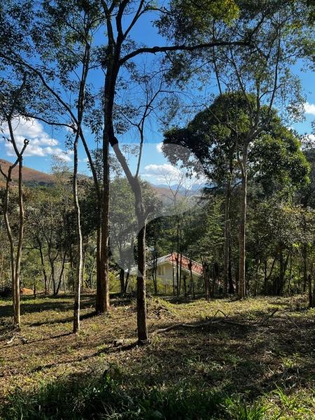 Terreno Residencial à venda em Itaipava, Petrópolis - RJ - Foto 5