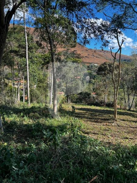 Terreno Residencial à venda em Itaipava, Petrópolis - RJ - Foto 6