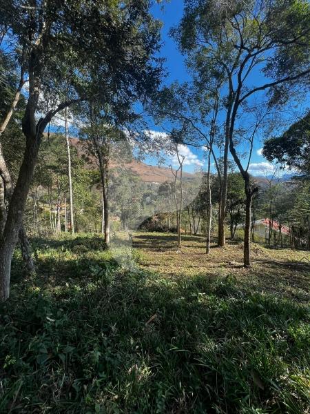 Terreno Residencial à venda em Itaipava, Petrópolis - RJ - Foto 7