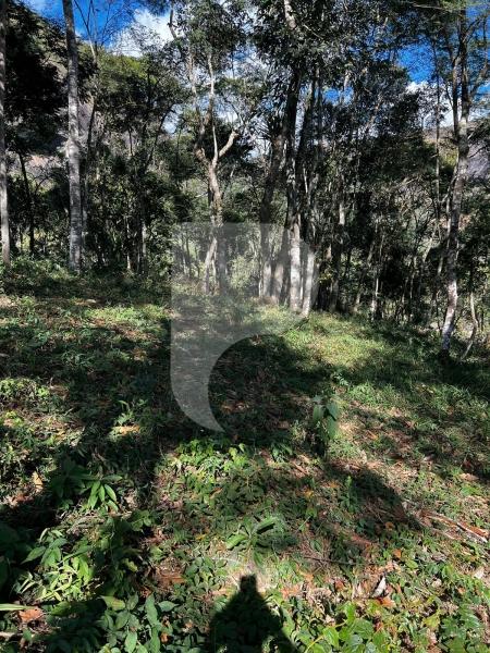 Terreno Residencial à venda em Itaipava, Petrópolis - RJ - Foto 8