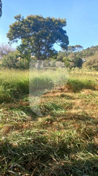 Terreno Residencial à venda em Itaipava, Petrópolis - RJ - Foto 2