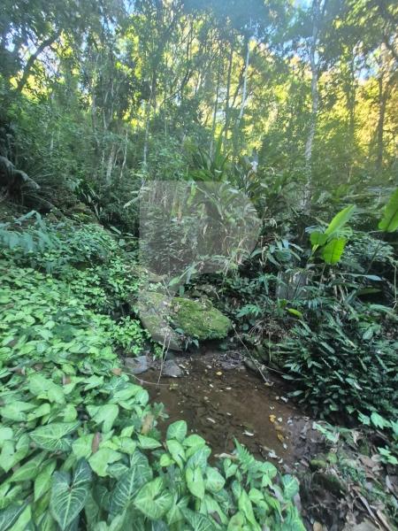 Casa para Alugar  à venda em Pedro do Rio, Petrópolis - RJ - Foto 37
