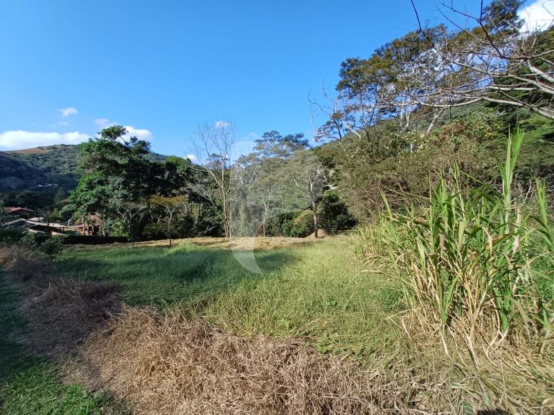 Terreno Residencial à venda em Pedro do Rio, Petrópolis - RJ - Foto 5