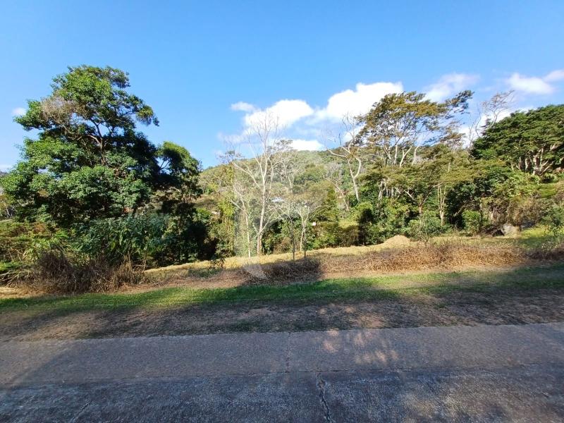 Terreno Residencial à venda em Pedro do Rio, Petrópolis - RJ - Foto 6