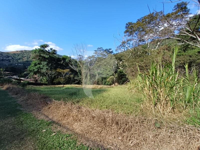 Terreno Residencial à venda em Pedro do Rio, Petrópolis - RJ - Foto 7