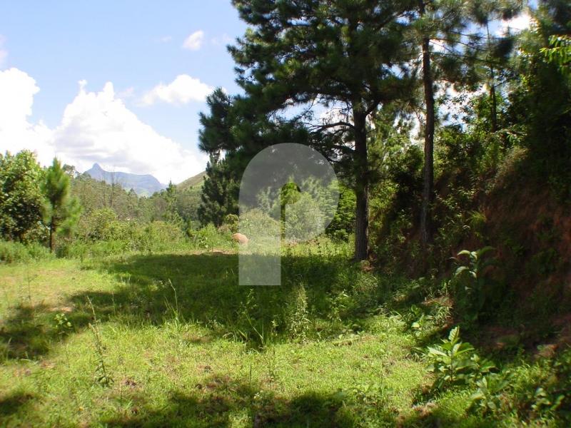 Terreno Residencial à venda em Itaipava, Petrópolis - RJ - Foto 1