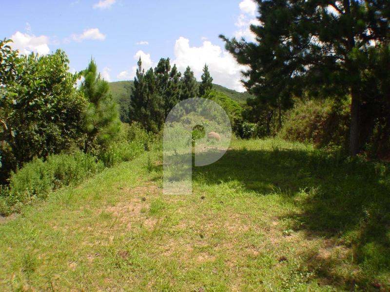 Terreno Residencial à venda em Itaipava, Petrópolis - RJ - Foto 5