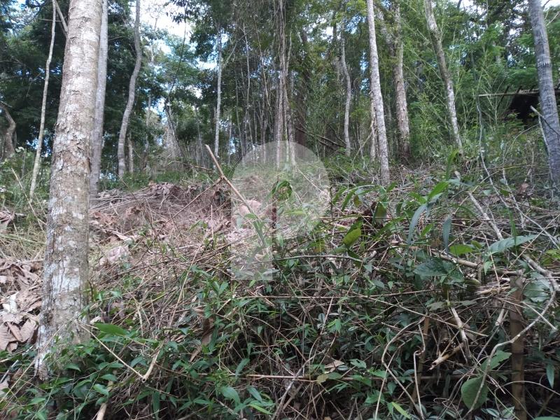 Terreno Residencial à venda em Itaipava, Petrópolis - RJ - Foto 3