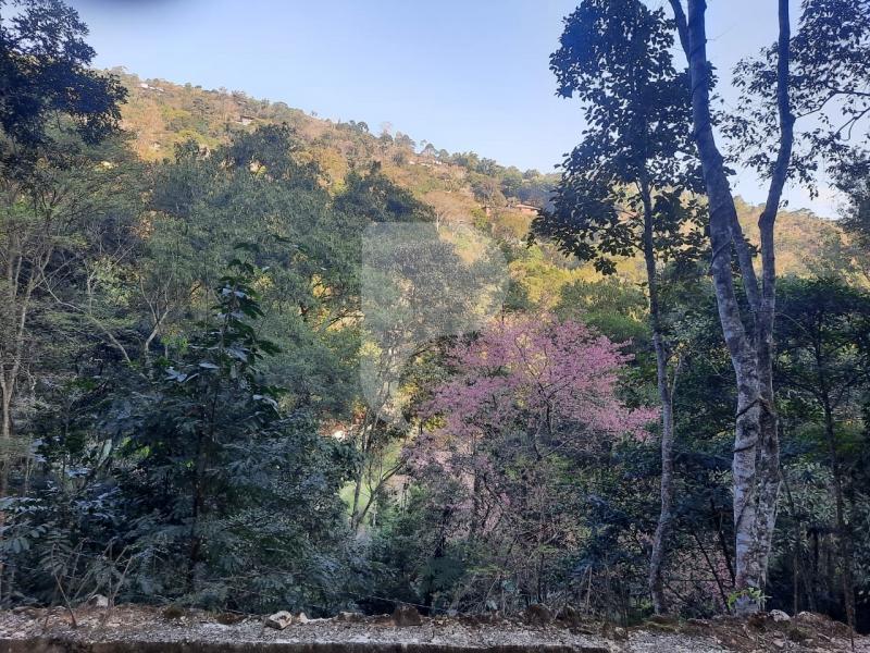 Terreno Residencial à venda em Araras, Petrópolis - RJ - Foto 4