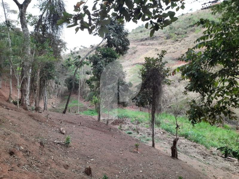 Terreno Residencial à venda em Centro, Areal - RJ - Foto 6