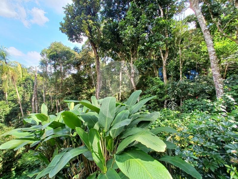 Casa à venda em Araras, Petrópolis - RJ - Foto 33