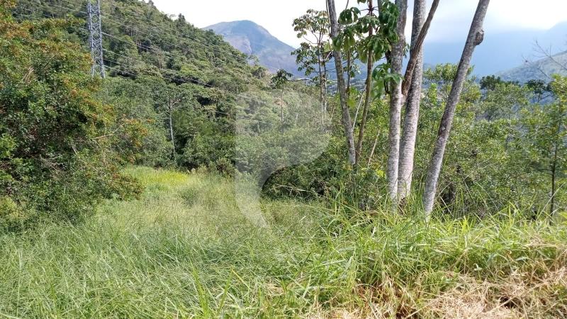 Terreno Residencial à venda em Araras, Petrópolis - RJ - Foto 4