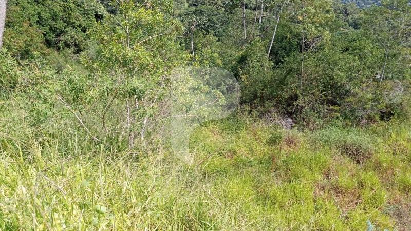 Terreno Residencial à venda em Araras, Petrópolis - RJ - Foto 5