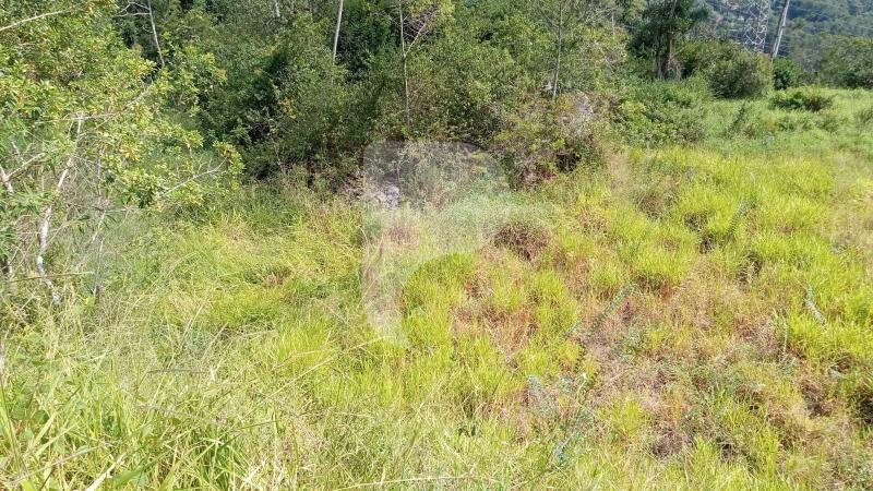Terreno Residencial à venda em Araras, Petrópolis - RJ - Foto 6