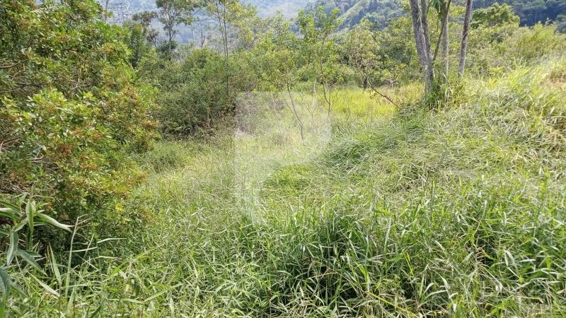 Terreno Residencial à venda em Araras, Petrópolis - RJ - Foto 3