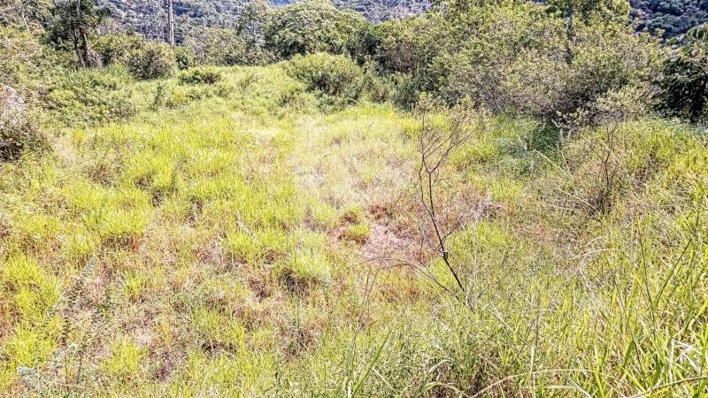 Terreno Residencial à venda em Araras, Petrópolis - RJ - Foto 7