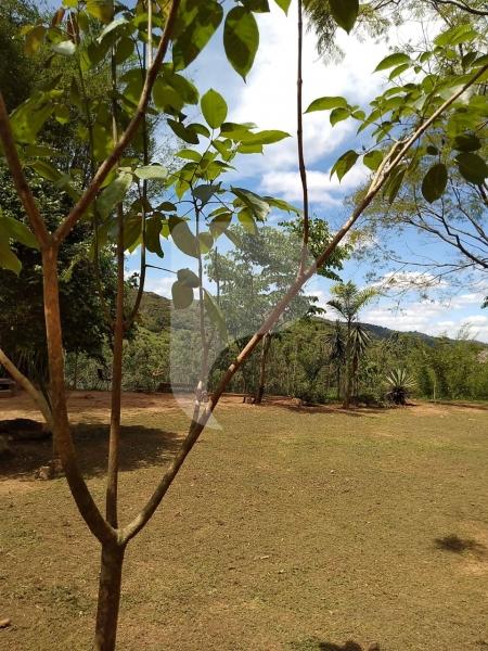 Terreno Residencial à venda em Posse, Petrópolis - RJ - Foto 7