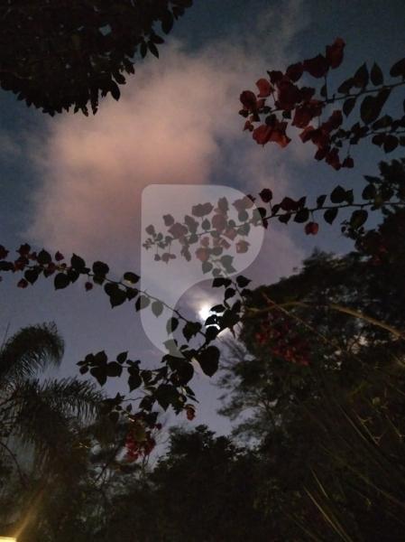 Terreno Residencial à venda em Posse, Petrópolis - RJ - Foto 26