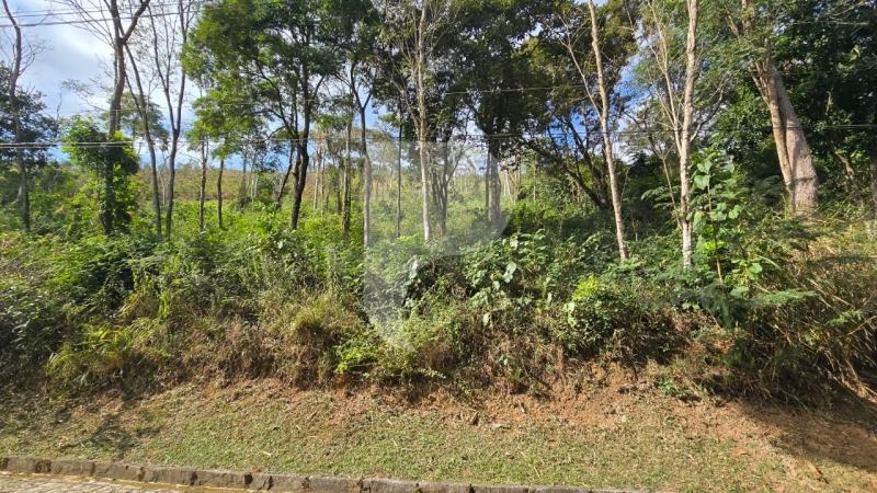 Terreno Residencial à venda em Pedro do Rio, Petrópolis - RJ - Foto 2