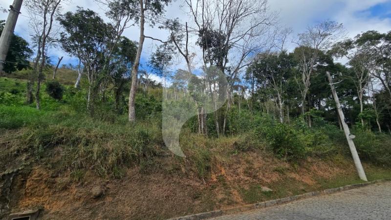 Terreno Residencial à venda em Pedro do Rio, Petrópolis - RJ - Foto 3