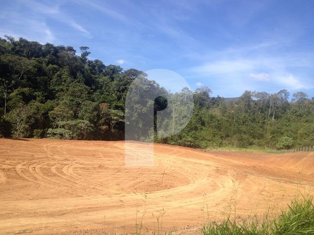 Terreno Residencial à venda em Pedro do Rio, Petrópolis - RJ - Foto 3