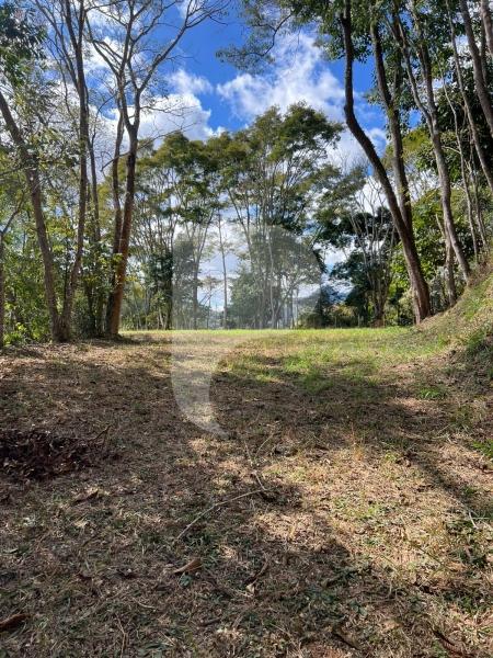 Terreno Residencial à venda em Itaipava, Petrópolis - RJ - Foto 6