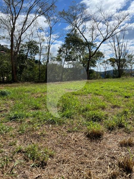 Terreno Residencial à venda em Itaipava, Petrópolis - RJ - Foto 4