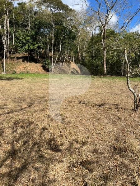Terreno Residencial à venda em Itaipava, Petrópolis - RJ - Foto 5