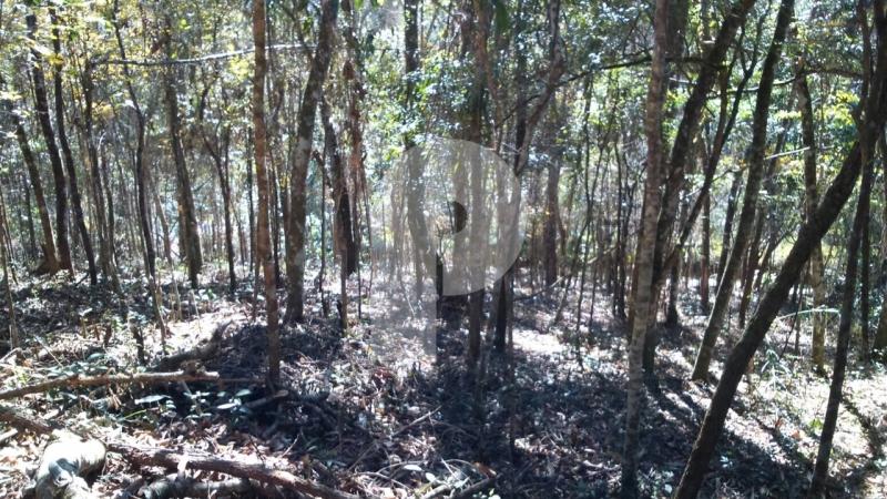 Terreno Residencial à venda em Itaipava, Petrópolis - RJ - Foto 1